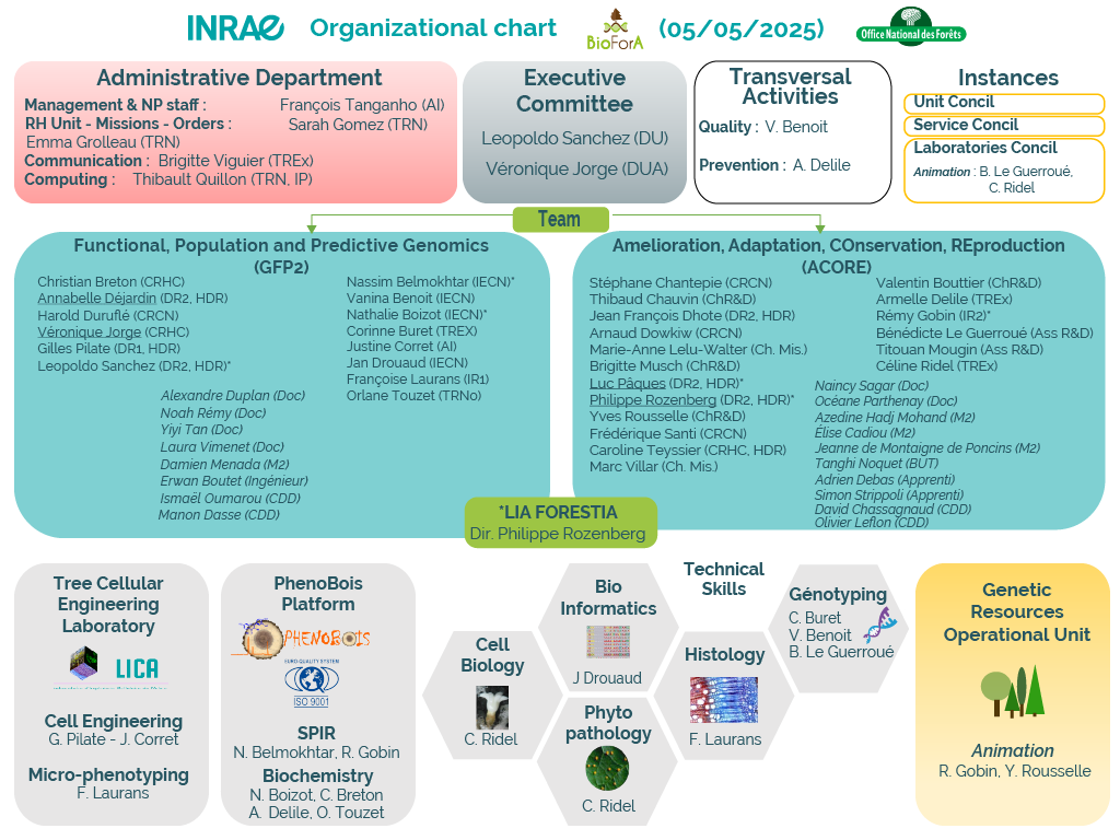 Organization-chart-BioForA