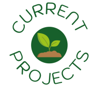 Current-projects