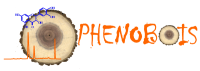 Logo-PHENOBOIS
