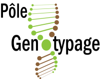 Logo-Genotyping-division